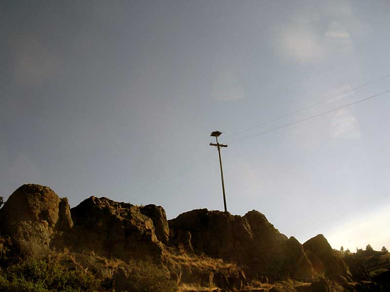 Osprey nest near the Klamath River