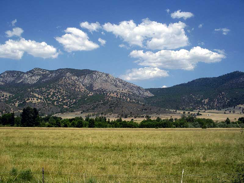 Scott Valley, between Callahan and Etna