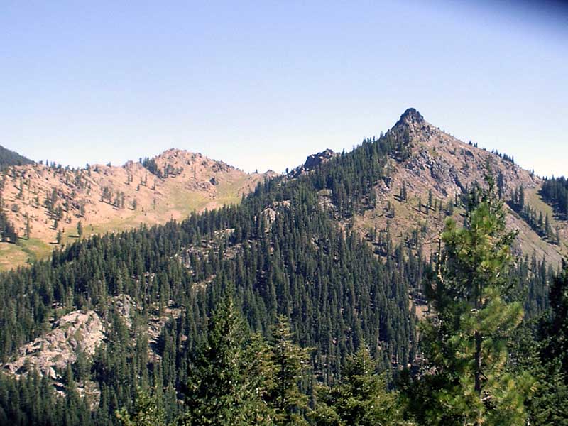 Trinity Alps from Carter Summit