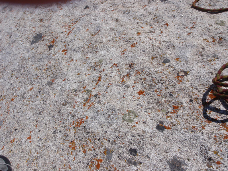 Lichen on top of Stripe Rock