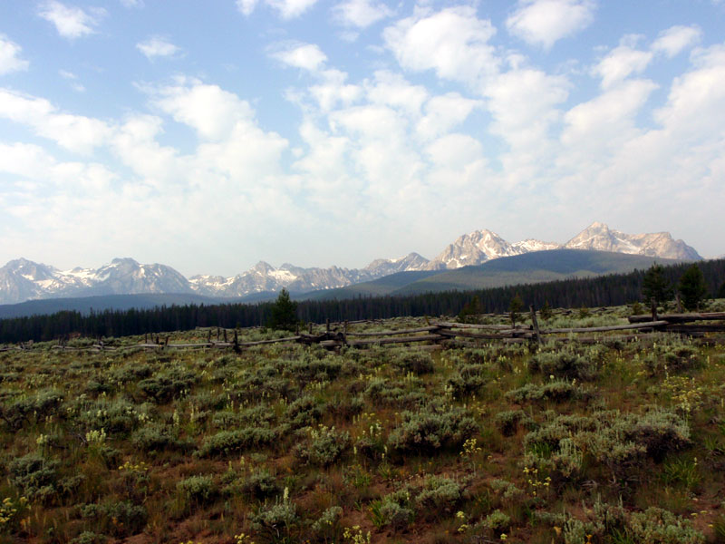 Sawtooths from the preserve