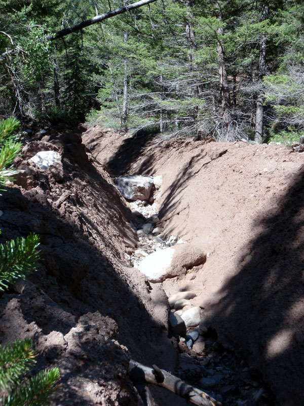 Recent erosion cuts across trail