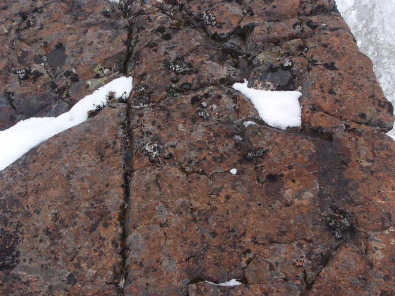 Lichen-covered rock near the summit