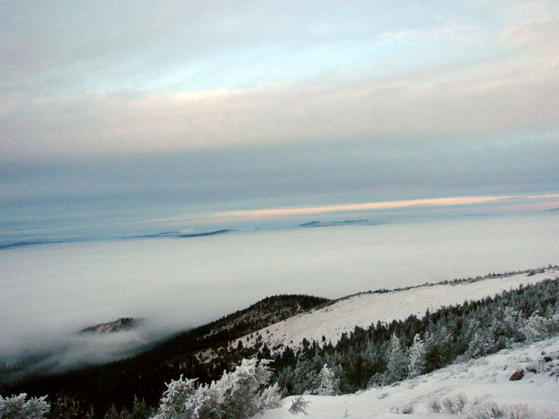 Sea of fog