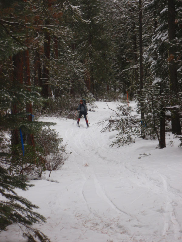 and Lili too. A bit calmer down here, but the drive home was an adventure&#8212;quite a snow storm.