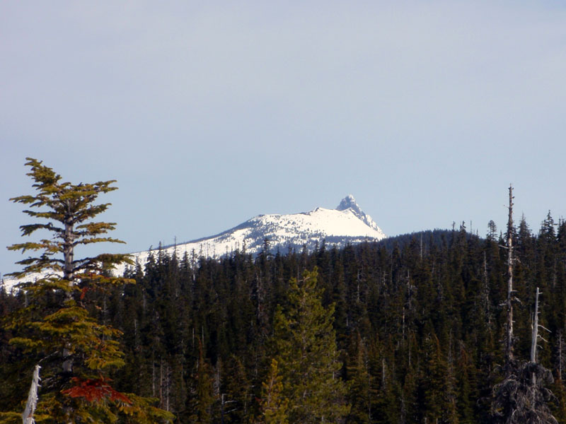 Mt. Washington