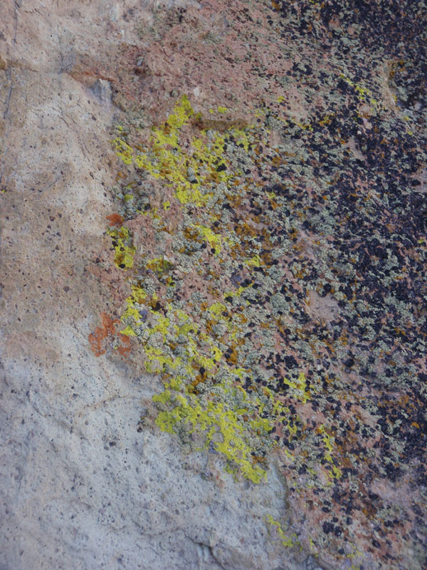 Some lichen at the top of the first pitch