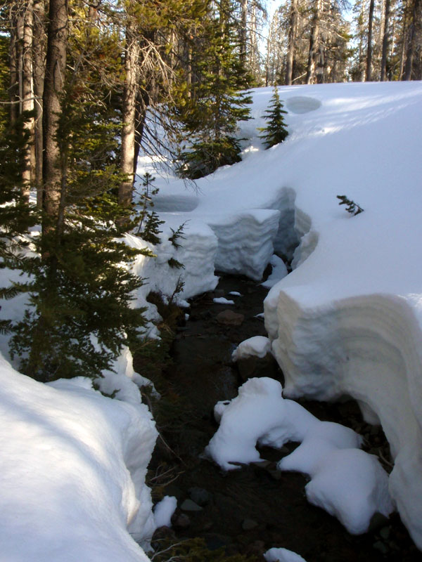 Plenty of snow-bridges across Soap Creek