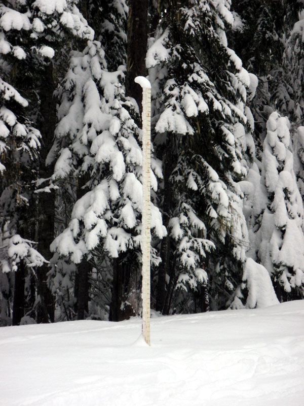 Back near the Sno-Park: Snow stake has a cap