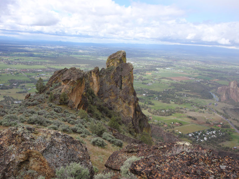 The Wombat, from above