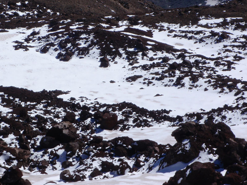 My foot-prints in the Old Crater