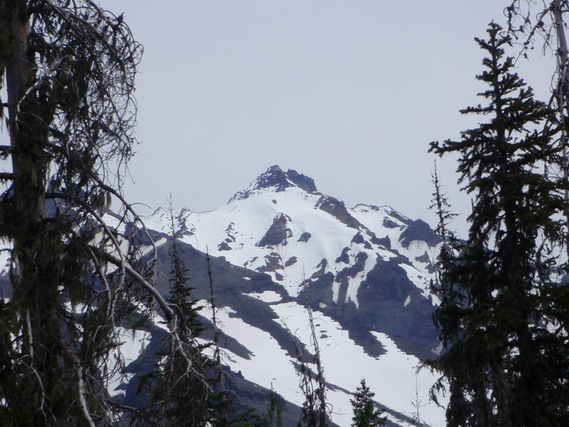 Summit, from JCT of Woodpecker Ridge &amp; the PCT