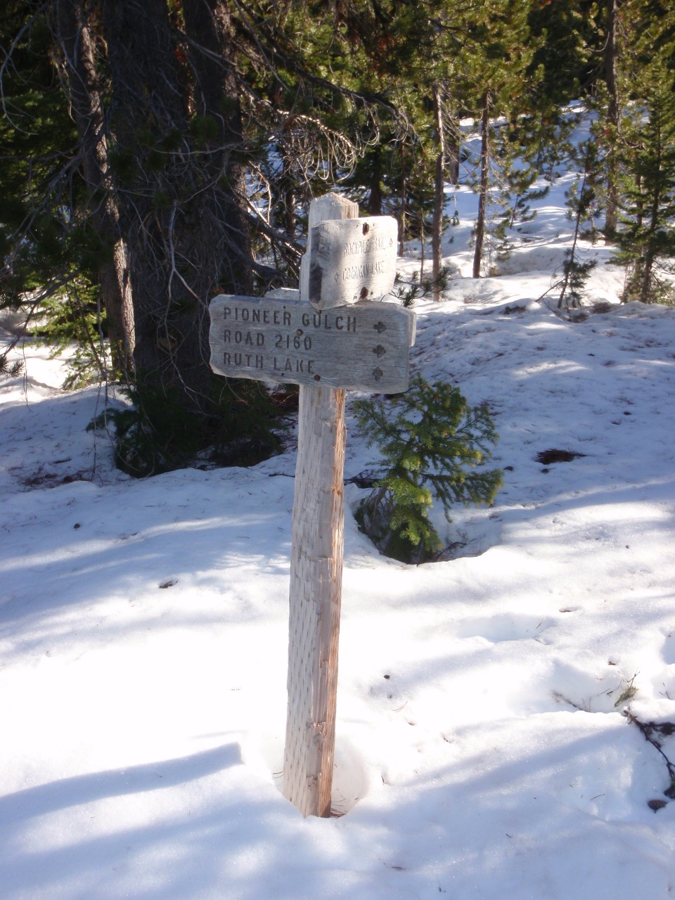 Trail junction sign exposed