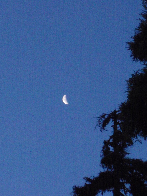 Moon at 5 am