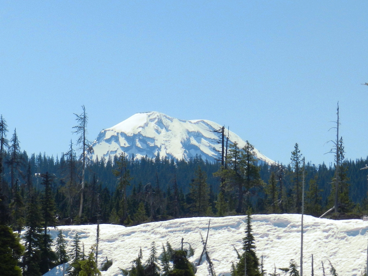 South Sister from the lava flow