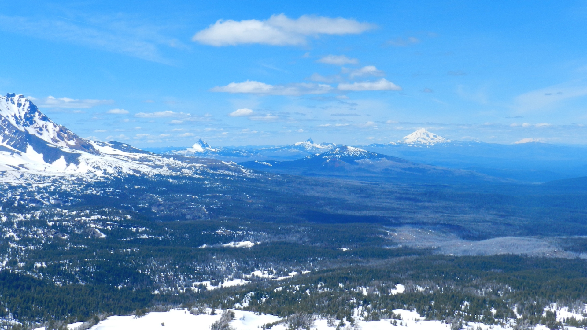 View north: Mt. Washington, Three Fingered Jack, Mt. Jefferson, Mt. Hood