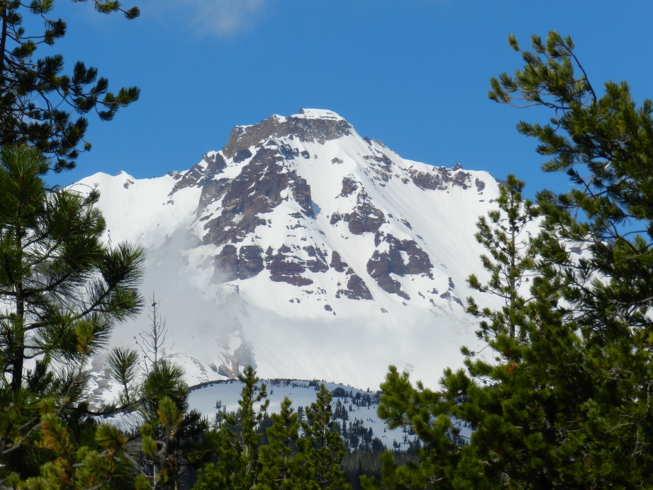 North Sister from the Pole Creek Trail