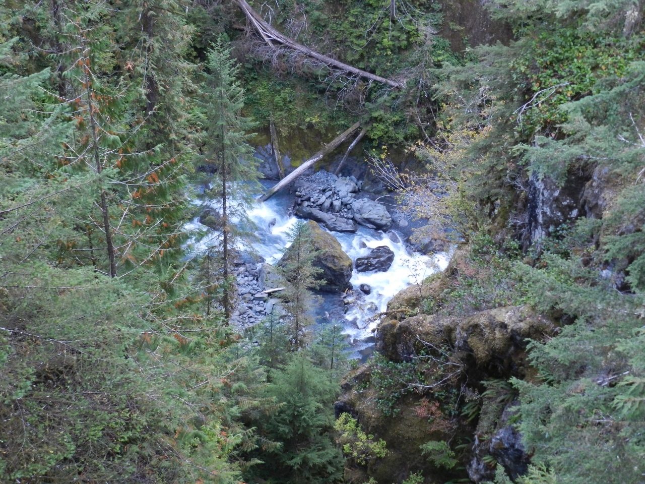 Confluence of the Hoh and Glacier Creek
