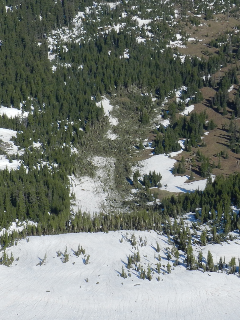 Avalanche runnout on the west side