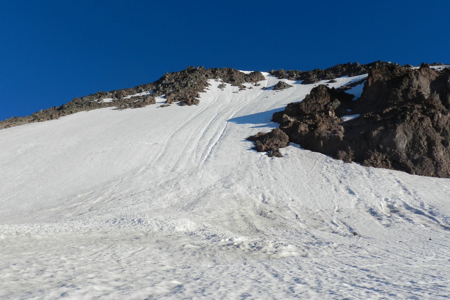 Old avalanche runout on Disappointment Peak