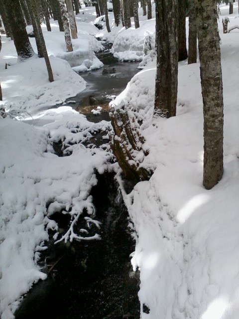 Creek from Arrowhead Lake where PCT crosses on culvert